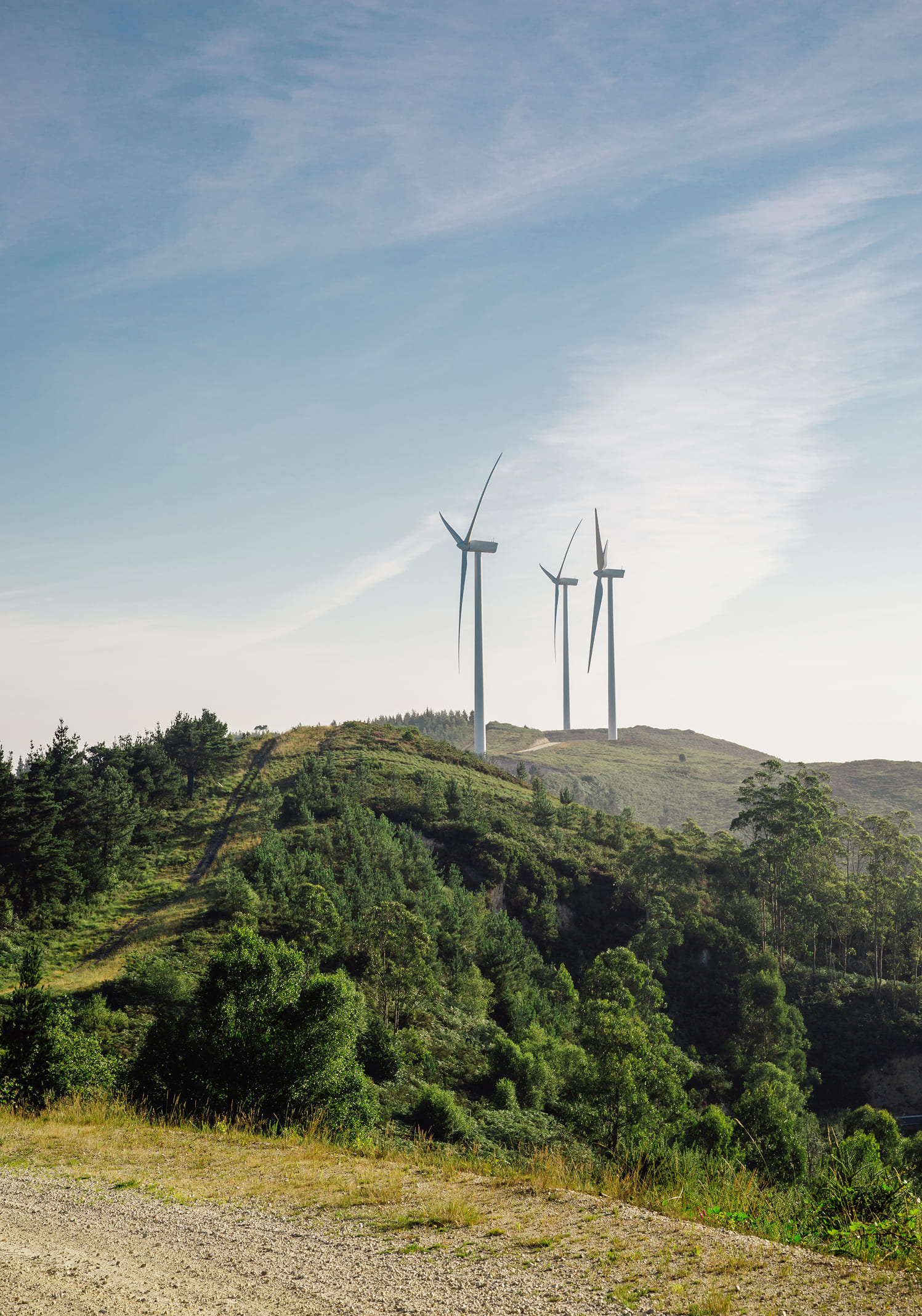 Landscape with wind turbines